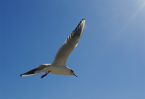 d0024242_3115821.jpg