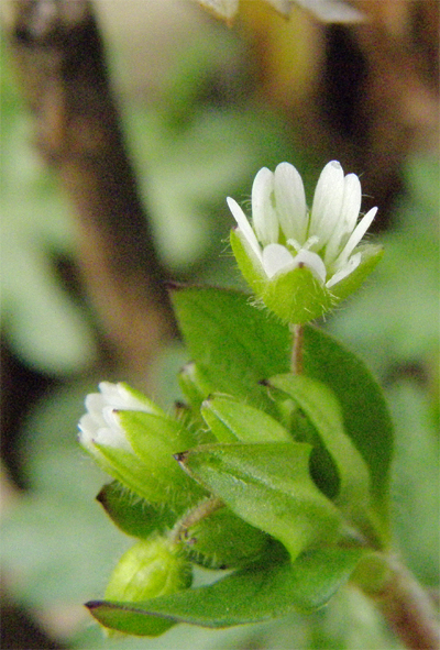 f0214649_5442482.jpg