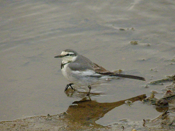 f0214649_5454147.jpg