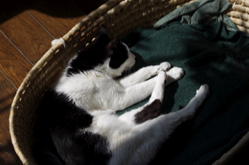 f0054677_510033.jpg