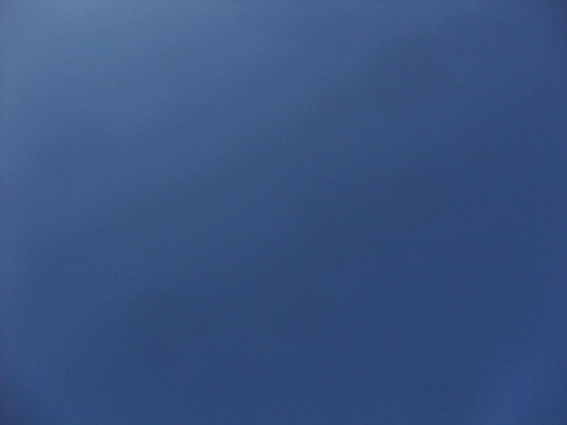 b0083779_1450464.jpg