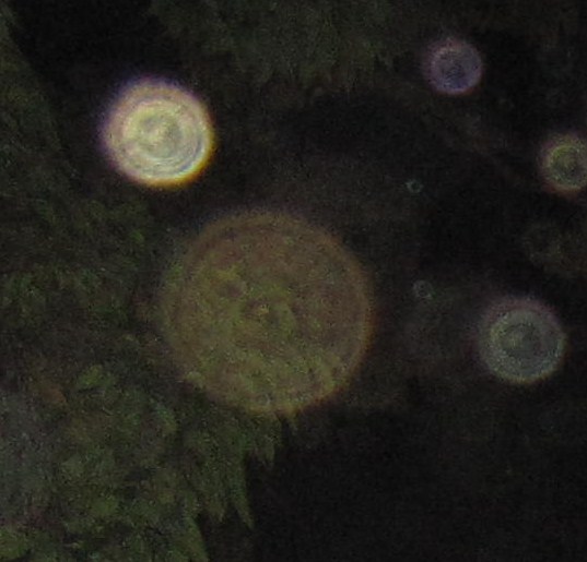 b0072881_12422557.jpg