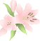 b0136683_9103851.gif