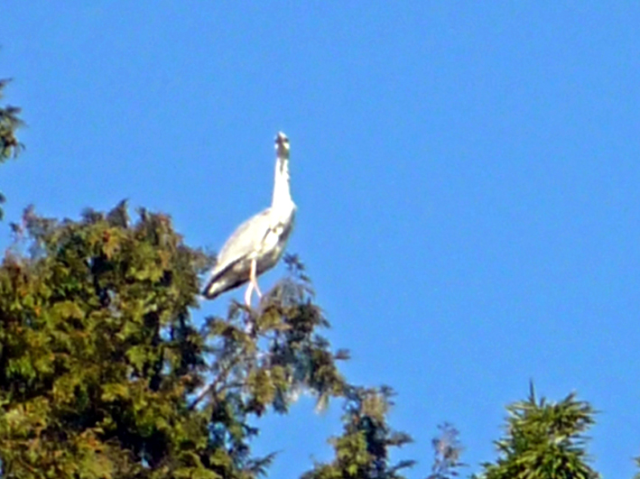 c0125283_944798.jpg