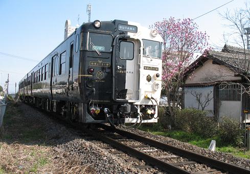 e0130185_1139663.jpg