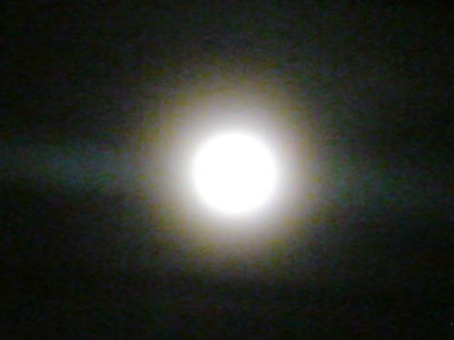 e0078187_233031100.jpg
