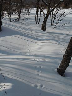 c0002089_10443560.jpg
