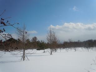 c0002089_10453418.jpg