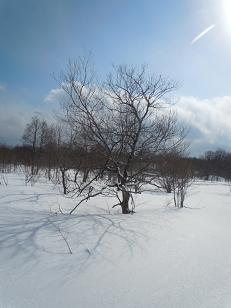 c0002089_1046382.jpg