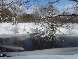 c0002089_10553411.jpg