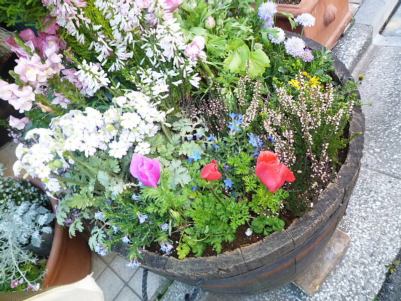 c0138198_5282535.jpg