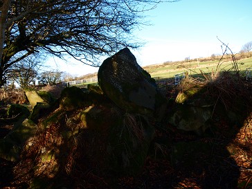 b0110999_17481163.jpg