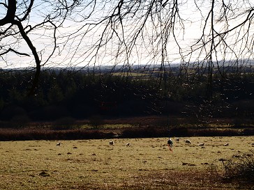 b0110999_17482414.jpg