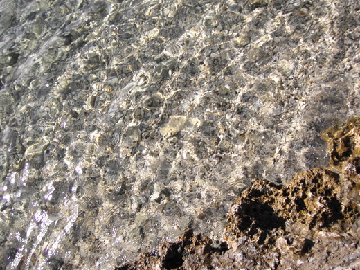 a0199304_23165688.jpg