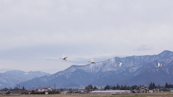 f0233414_22432315.jpg