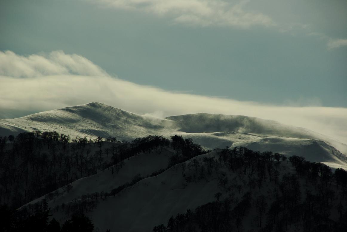 b0062024_13311660.jpg