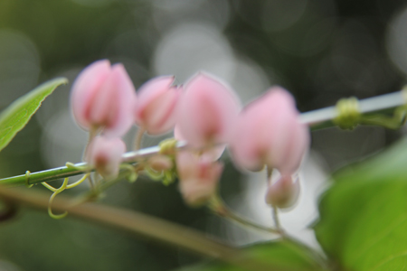d0042827_123321.jpg