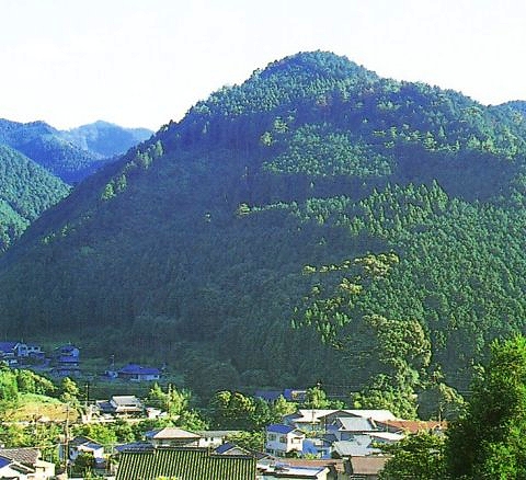 b0162728_84336.jpg
