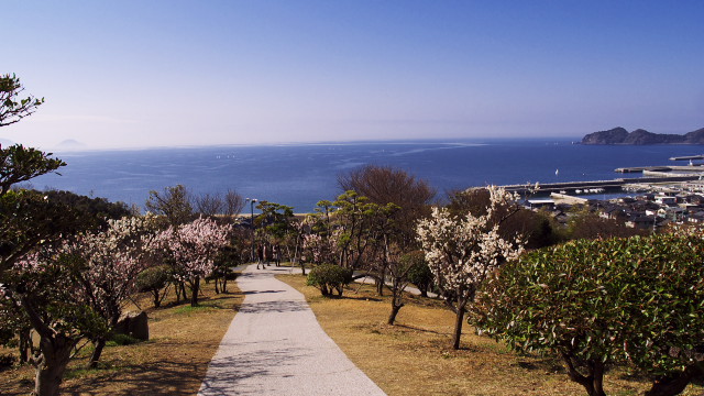 f0235335_7203970.jpg