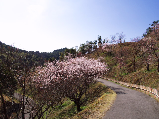 f0235335_726329.jpg
