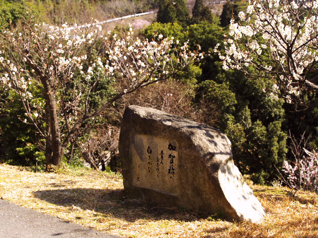 f0235335_7281276.jpg