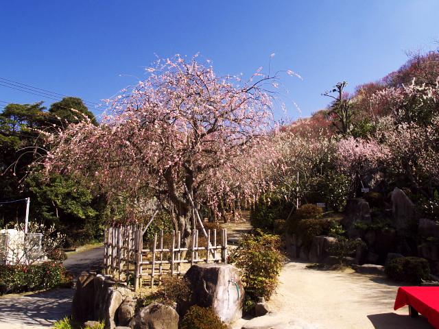 f0235335_7292583.jpg