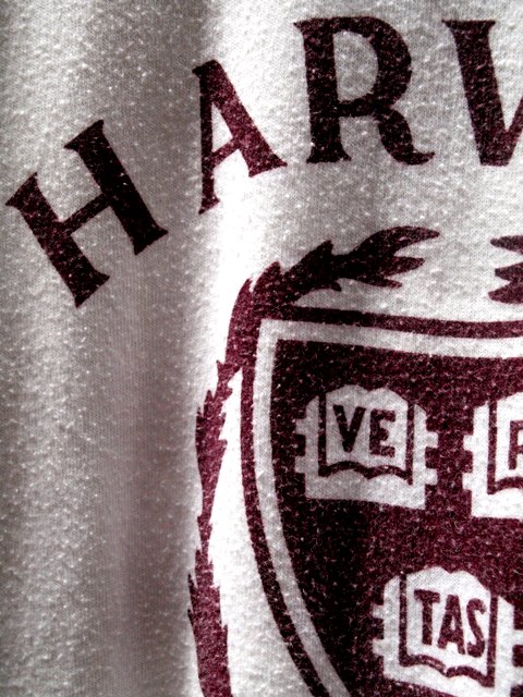 c0177238_16284826.jpg