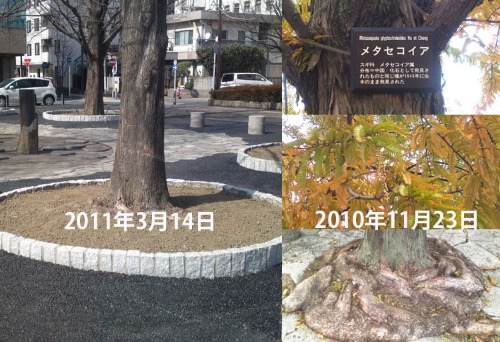 e0151340_16431637.jpg