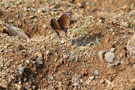 a0094850_2117297.jpg