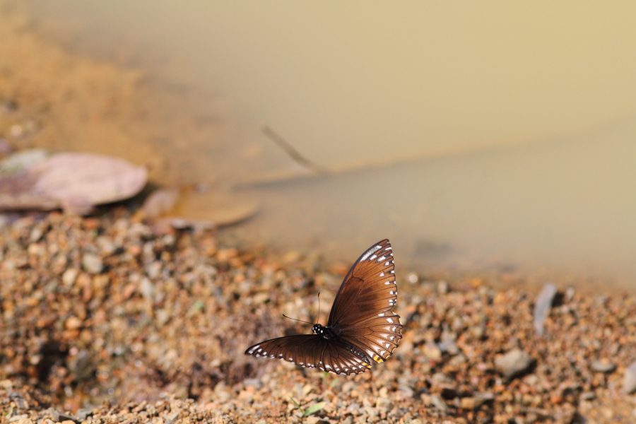 a0094850_2117795.jpg