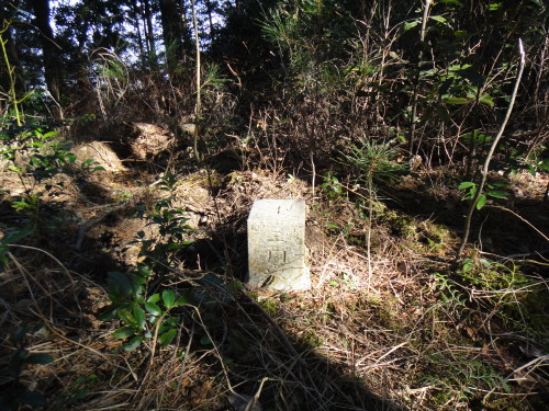 c0179351_21345897.jpg
