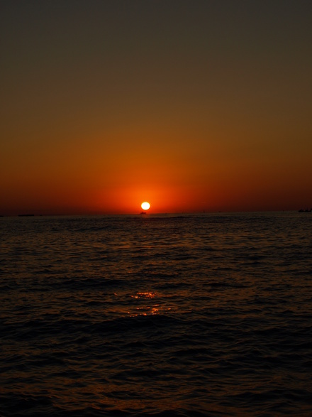 d0163264_8112713.jpg