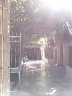 f0207969_9595746.jpg