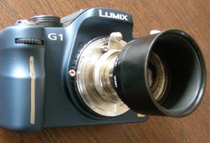 FIKUS(12530)