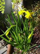 a0142083_9313379.jpg