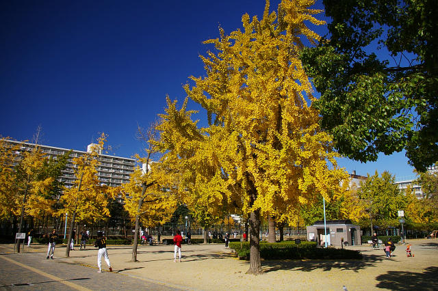 b0177884_6493739.jpg