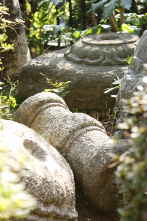 d0101787_338494.jpg
