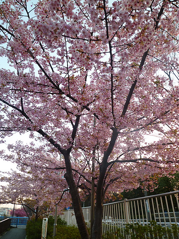 c0138198_1941652.jpg