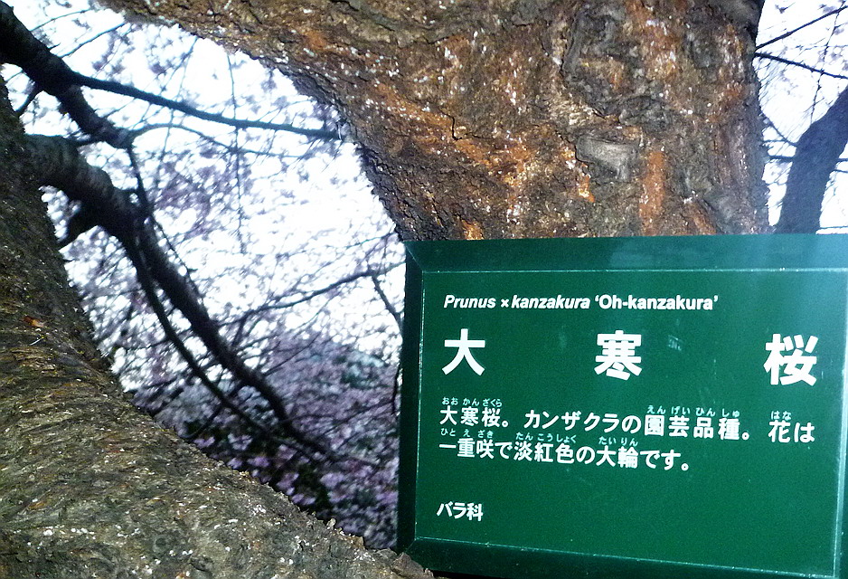 c0138198_1947686.jpg