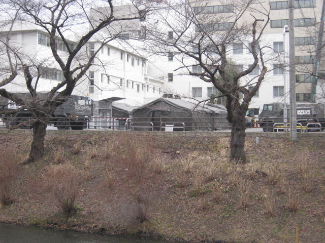 b0169403_19134969.jpg