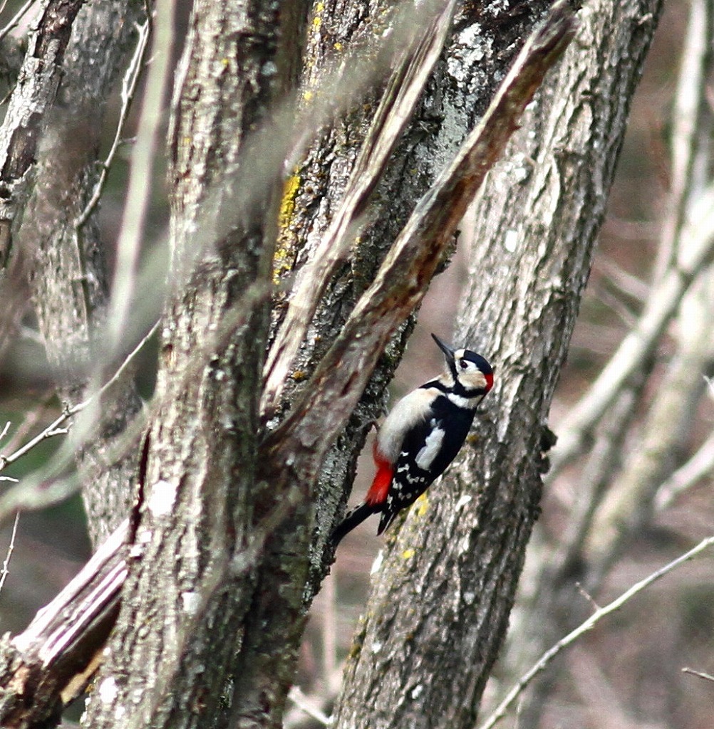 c0213607_1557756.jpg