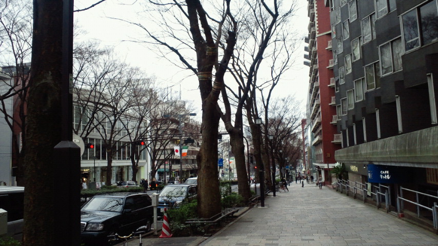 a0148408_8491416.jpg