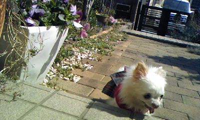 c0150520_17464390.jpg