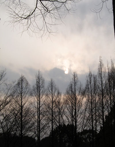 f0147025_001750.jpg