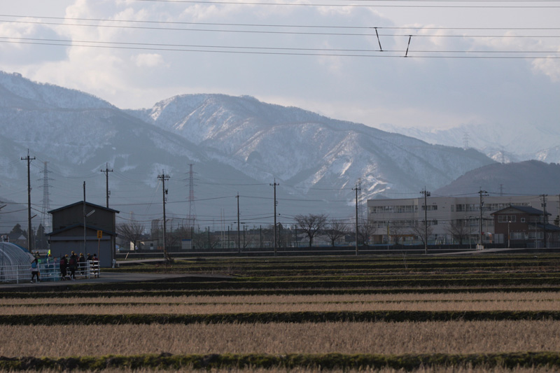 b0177233_5262353.jpg