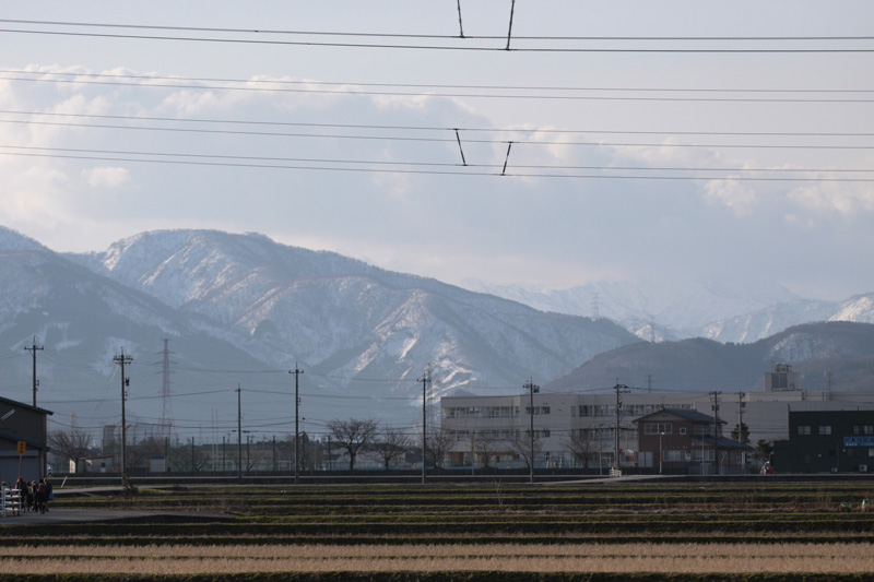 b0177233_526421.jpg