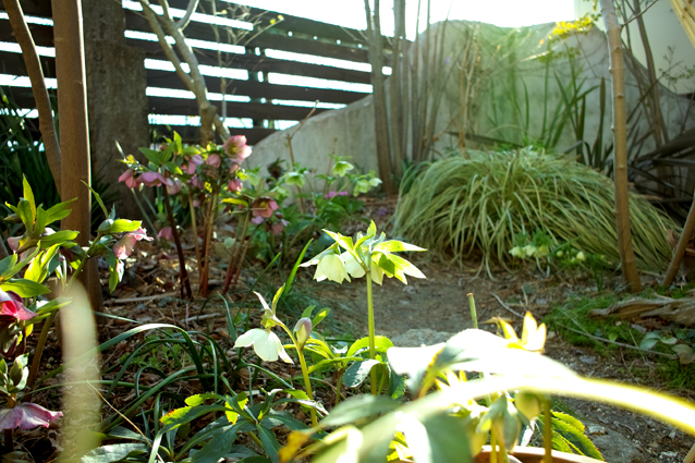 c0227239_1848468.jpg