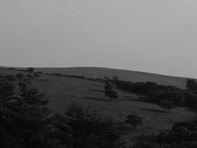 b0019140_1727615.jpg