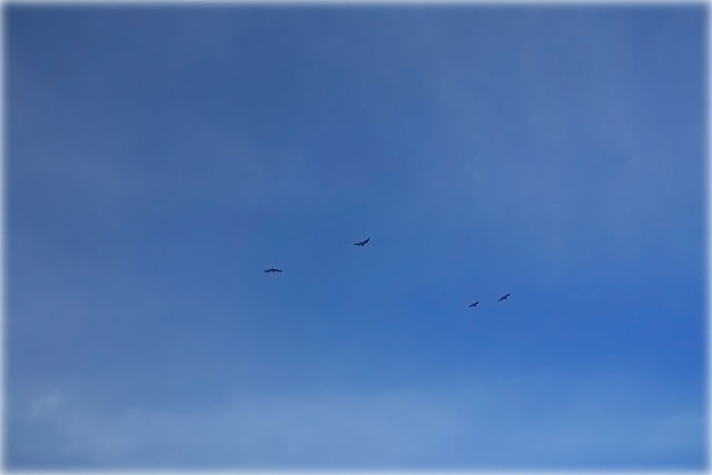 c0183164_21265456.jpg