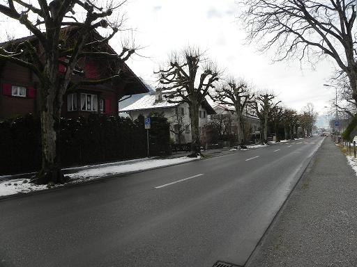 d0048366_15143777.jpg